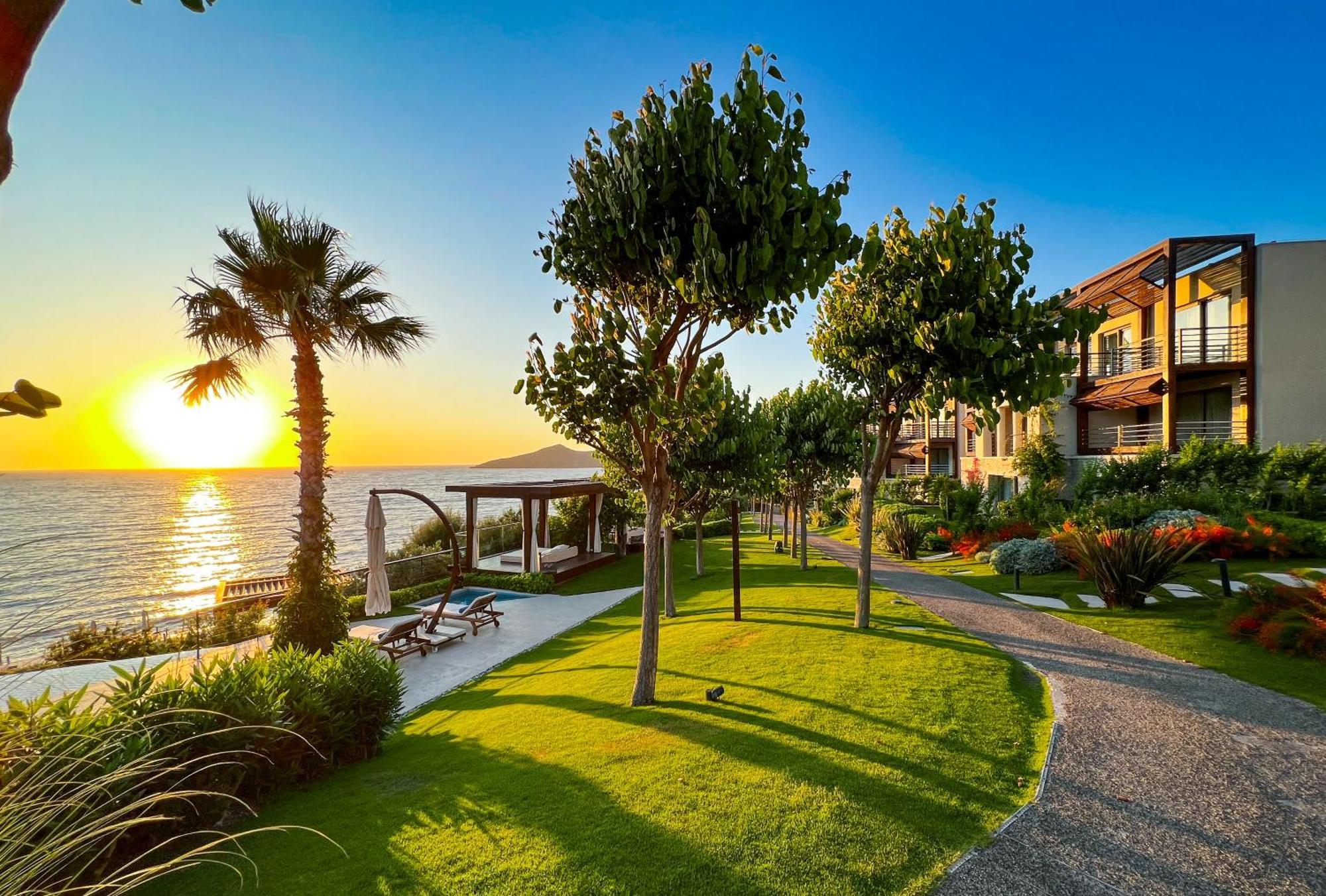 Allium Bodrum & Yalikavak